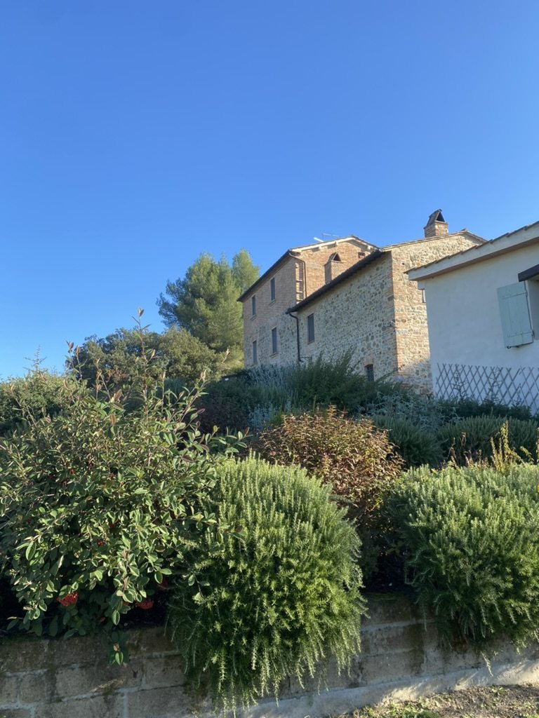 The house above the garden